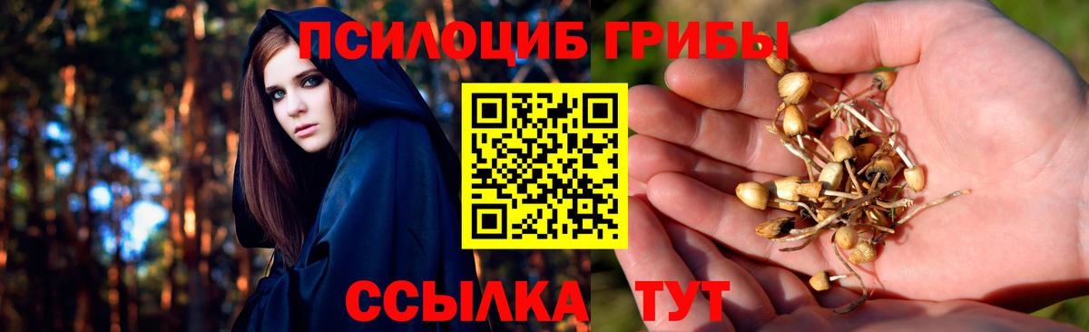 Ульяновск  Псилоцибиновые грибы GOLDEN TEACHER  Галлюциногенные грибы GOLDEN TEACHER  Вход с VPN 