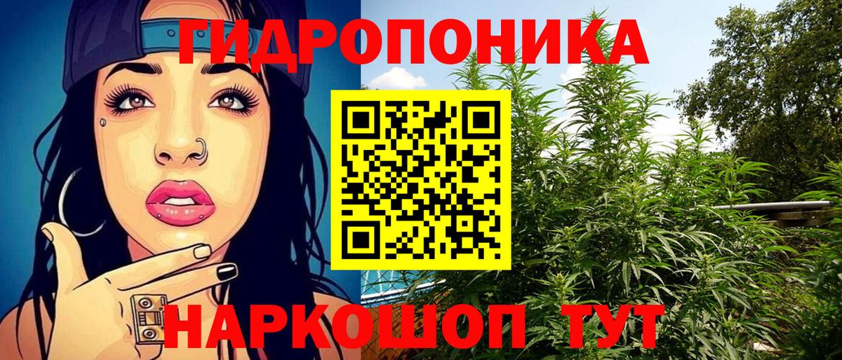 МАРИХУАНА план  Вход с VPN  Ульяновск  Конопля ГИДРОПОН  Конопля марихуана  Каннабис VHQ 